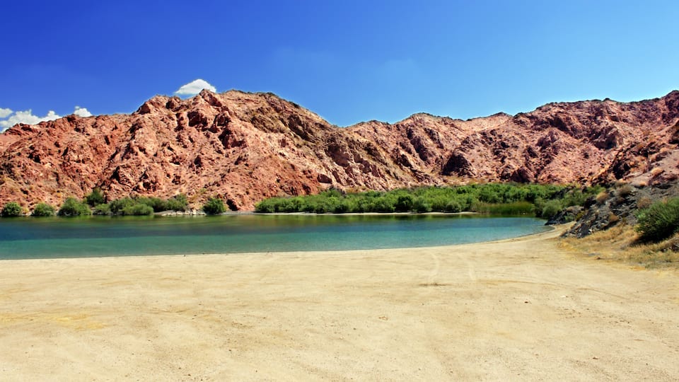 A desert landscape with a large body of water, mountains, and sparse vegetation.
