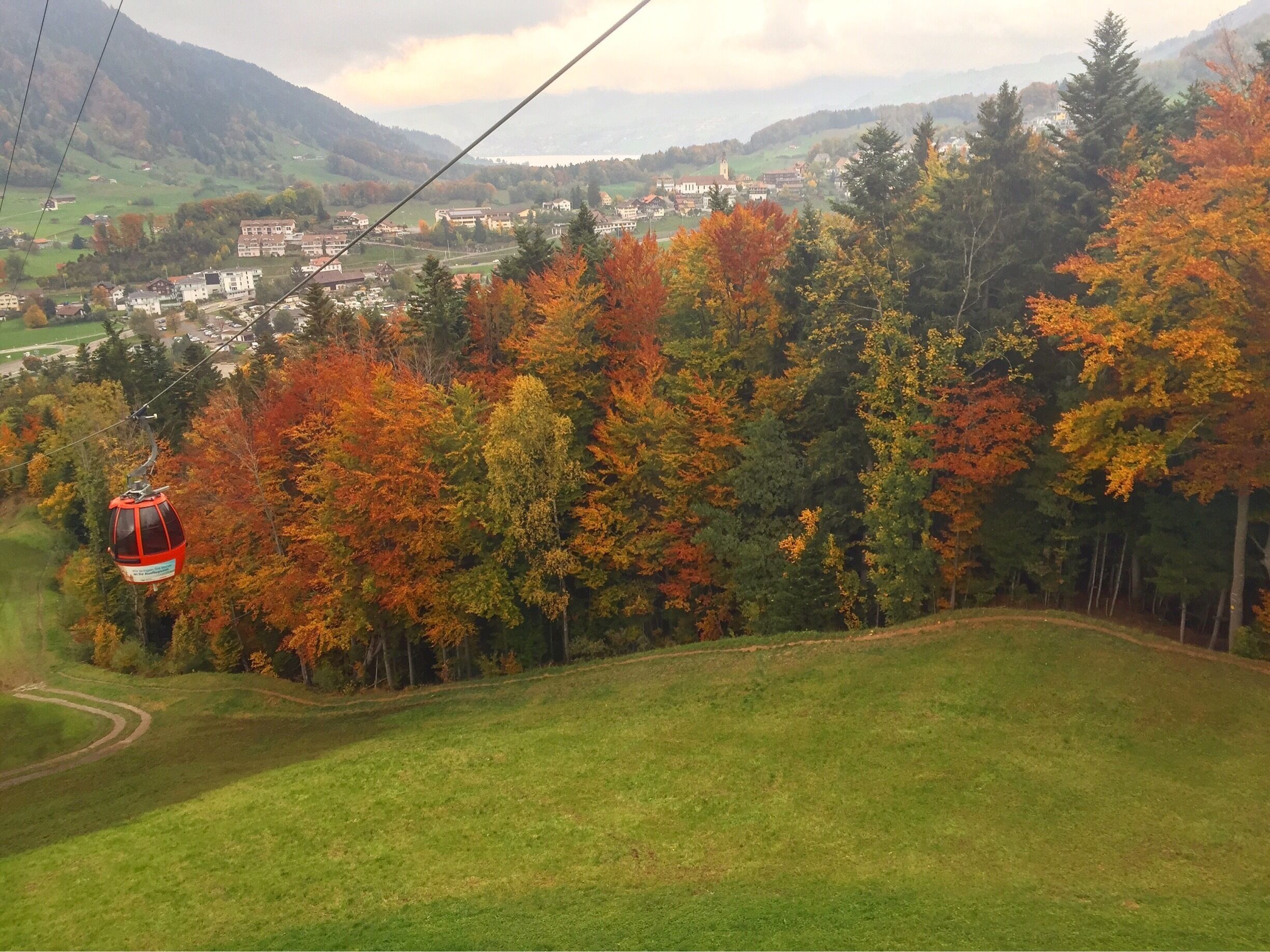 A cable car in a mountainous area with autumn foliage.