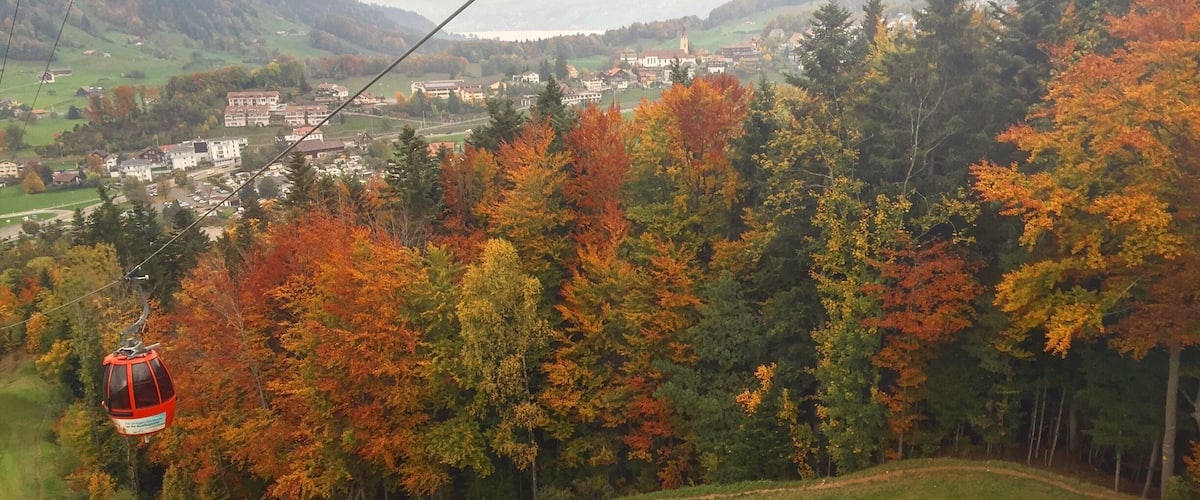 A cable car in a mountainous area with autumn foliage.