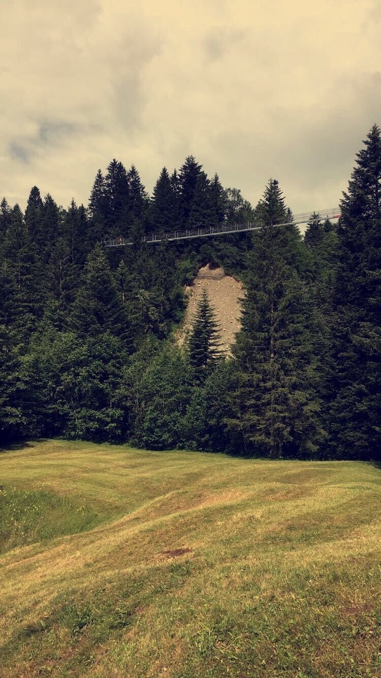This rope bridge is one of the biggest bridges. To be honest, you have to be a little bit brave to cross it. 