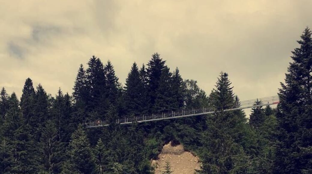 This rope bridge is one of the biggest bridges. To be honest, you have to be a little bit brave to cross it.