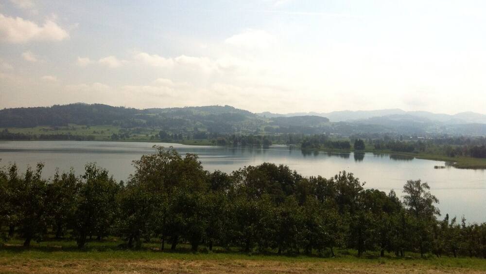 Ein See, umgeben von Bäumen und Hügeln.