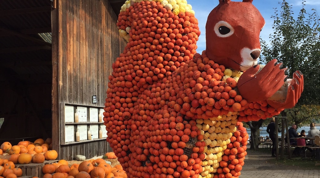 For some great food, a good time, and fantastical creatures, leave Zurich city and head out to Jucker Farm for an afternoon.