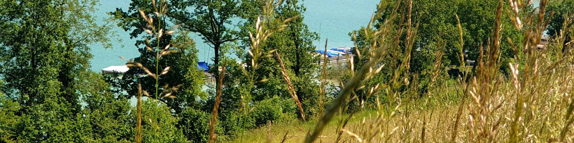 Great place to visit. Lovely farm with great food, pick your own fruit. You can go down to the lake for a swim.