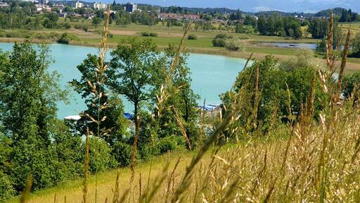 Great place to visit. Lovely farm with great food, pick your own fruit. You can go down to the lake for a swim.