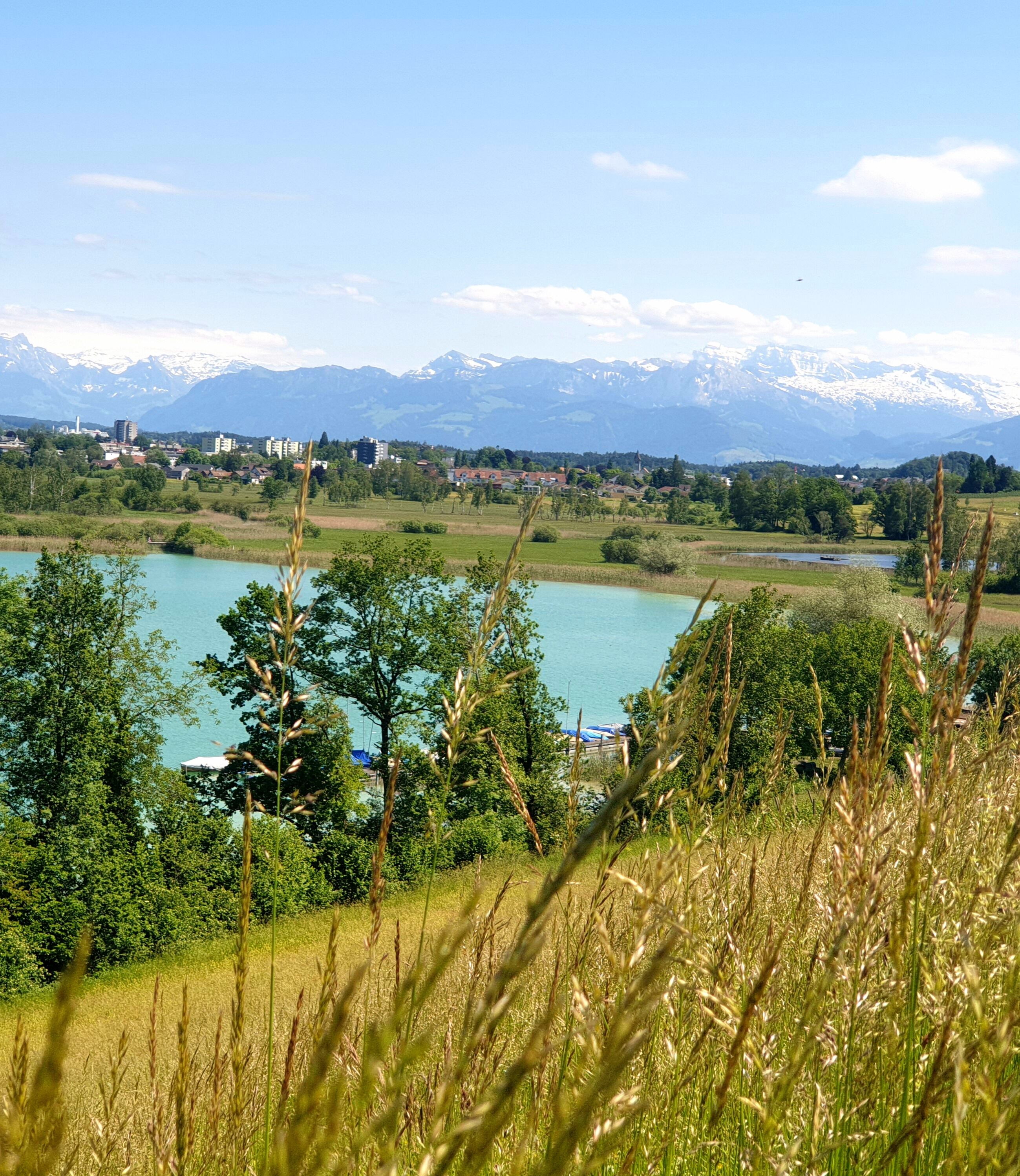 A lake with mountains in the background, surrounded by greenery and trees.