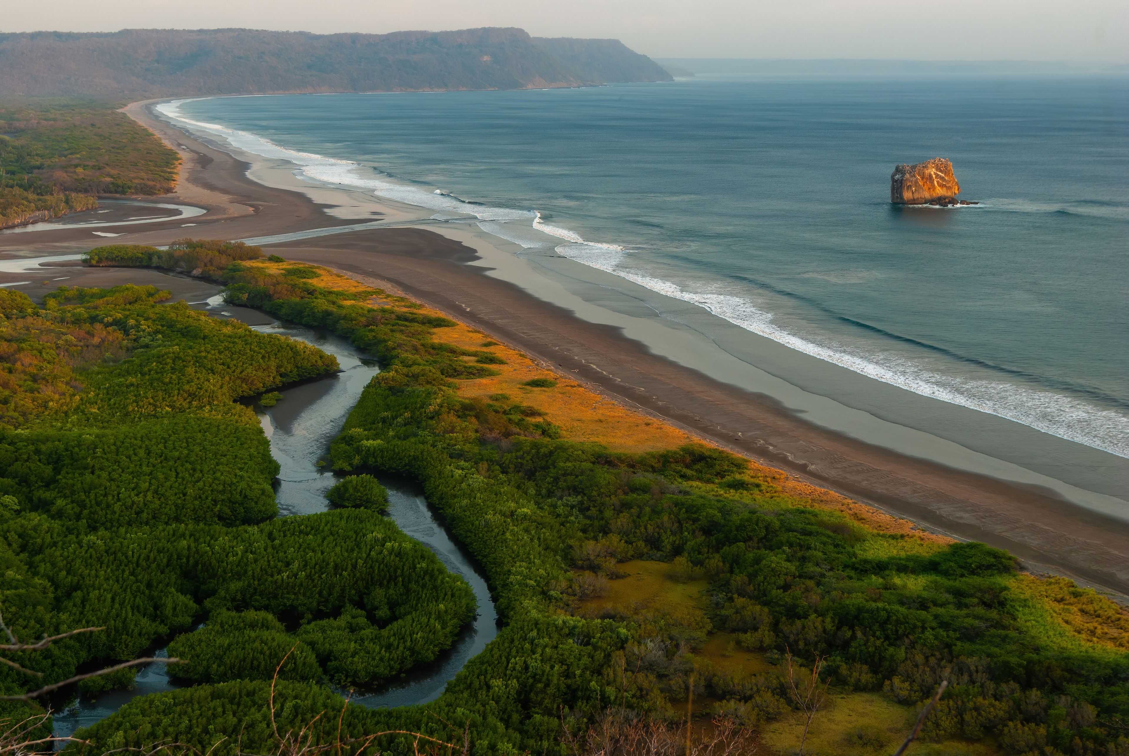 Un paisaje costero con un río serpenteando a través de una zona boscosa, que desemboca en una playa de arena con olas suaves.