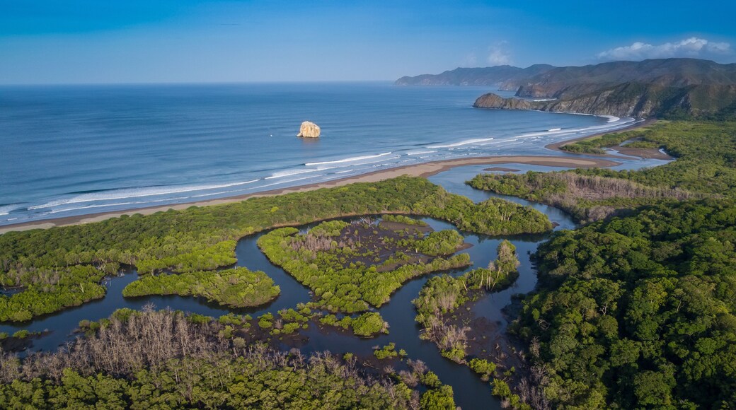 Un paisaje costero con bosques de manglar, una playa de arena y un litoral rocoso.