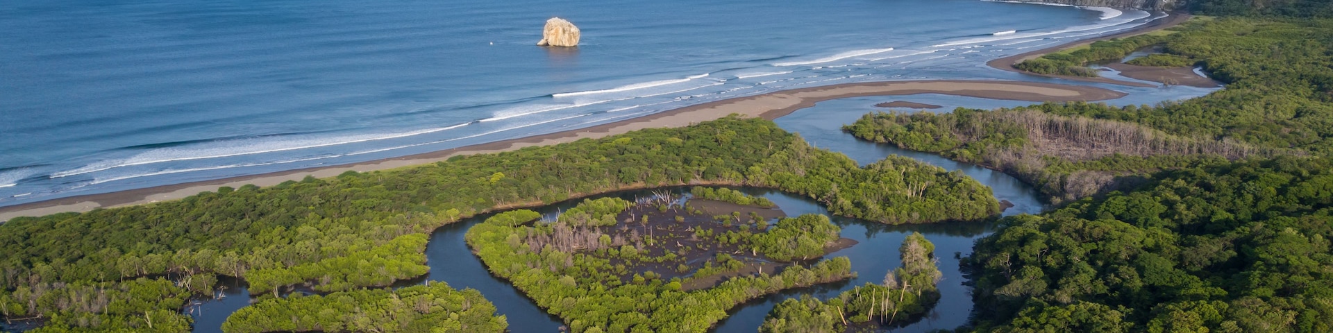 A coastal landscape with mangrove forests, a sandy beach, and a rocky coastline.
