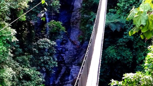 Suspension bridge that takes you to a great spot for swimming in a waterfall pool. You just have to conquer your fear of heights to do it!