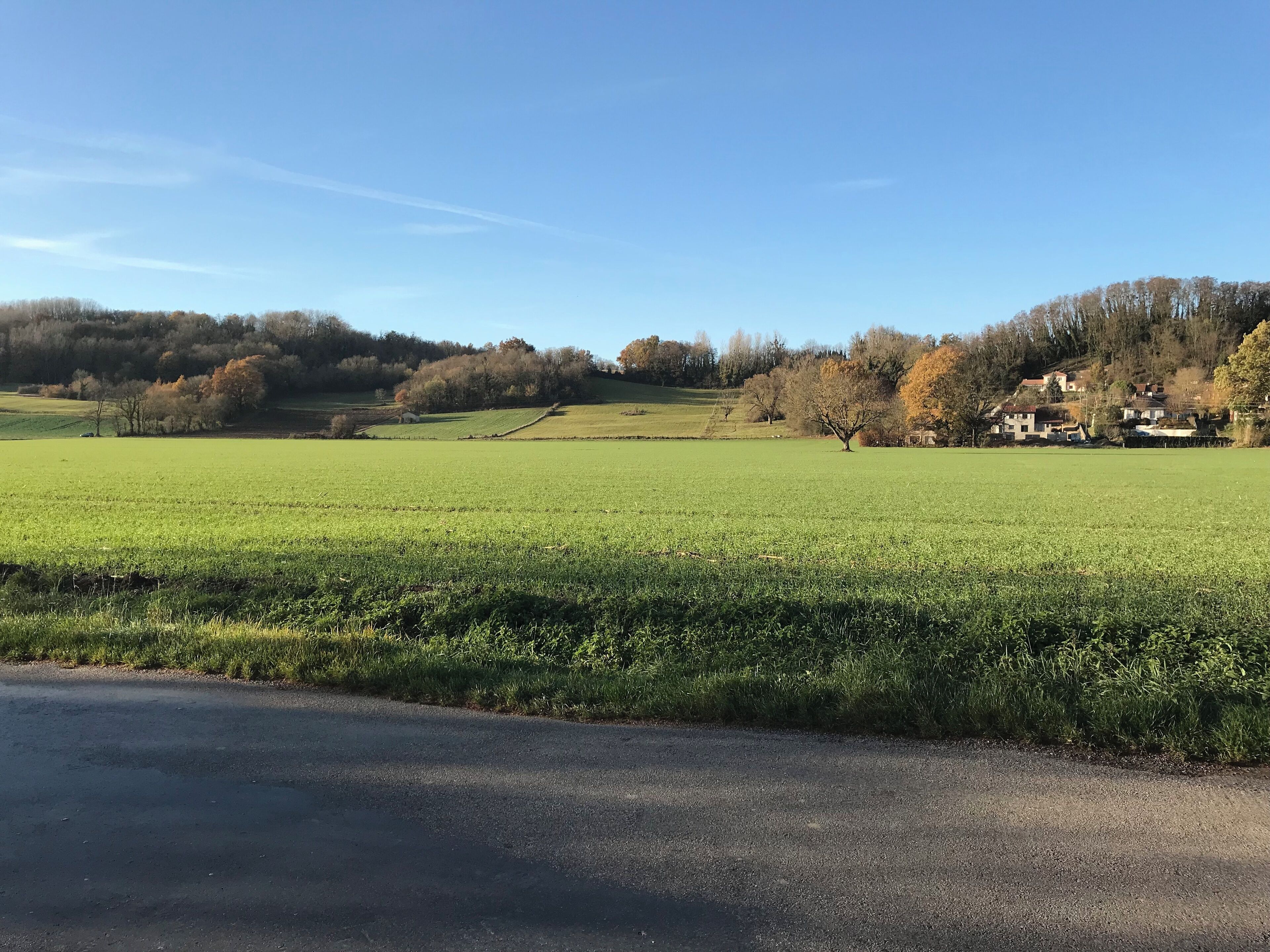 Champ face au cimetière de Villieu.