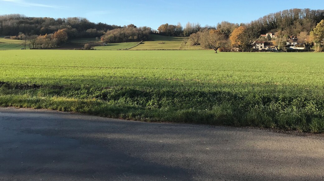 Champ face au cimetière de Villieu.