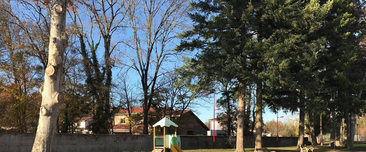 A park with a playground, a bench, and trees.