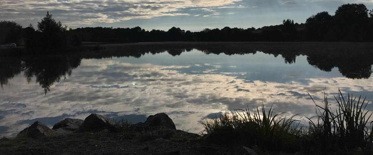 A calm lake with a clear reflection of the sky and surrounding trees.