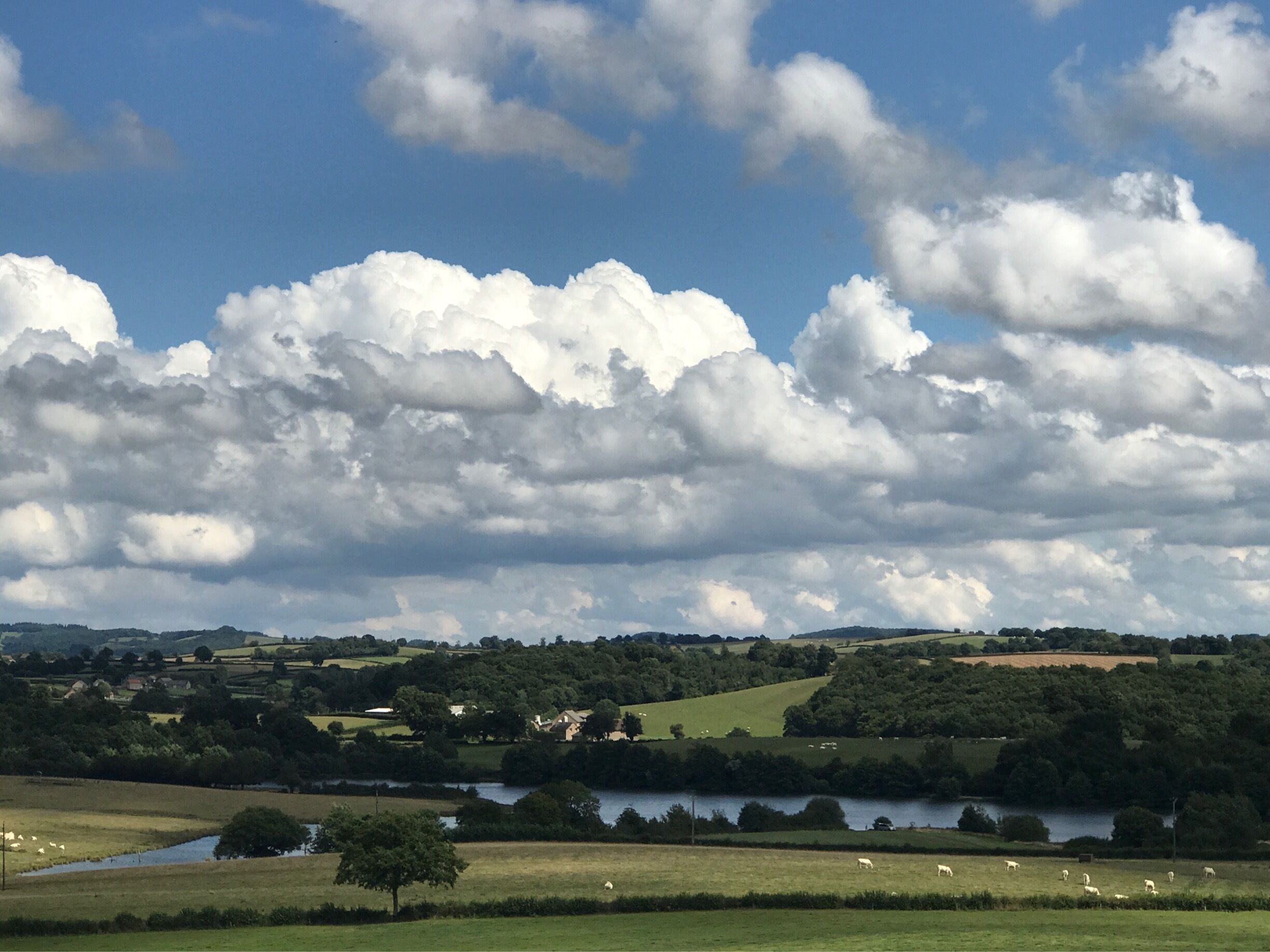 Wide view over the land of Chateau de Chigy