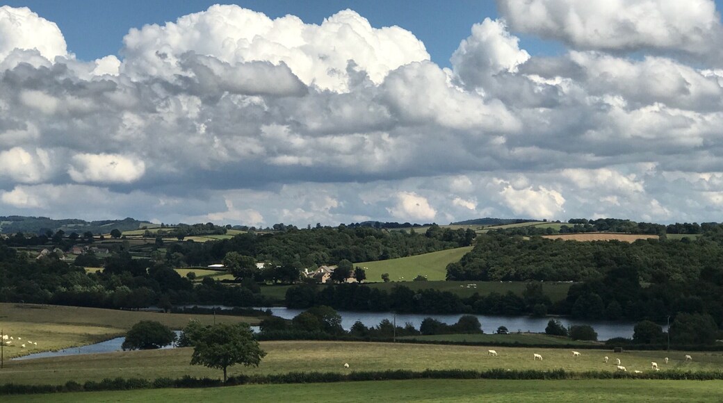Wide view over the land of Chateau de Chigy