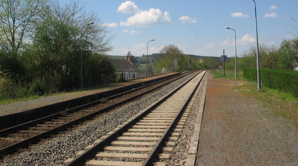 Quais gare de Luzy, Nièvre, vue E-O direction Nevers. On aperçoit avant la cible lumineuse, une signalisation de vitesse limitée sous forme de 2 TIV: une pancarte carrée 100, surmontée d'une demi-lune 110 tournée vers le haut. Cette dernière est dite TIV fixe de type C, et s'adresse aux éléments automoteurs parcourant la ligne (par exemple, BGC-81500). Lorsque la demi-lune est dirigée vers le bas, on parle de TIV type B. En-dessous, pancarte «Z» indiquant une entrée de Zone, secteur où la vitesse est réduite. Le mécanicien pourra reprendre sa marche normale une fois le panneau «R» (reprise), qui marque la fin de zone, dégagé.