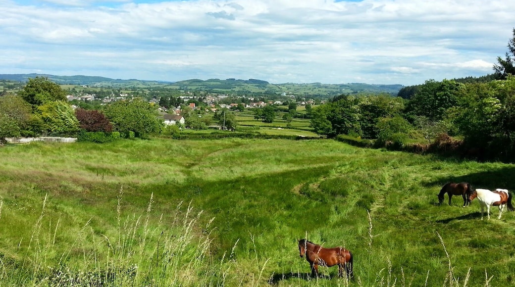 Campagne vers Luzy (58)