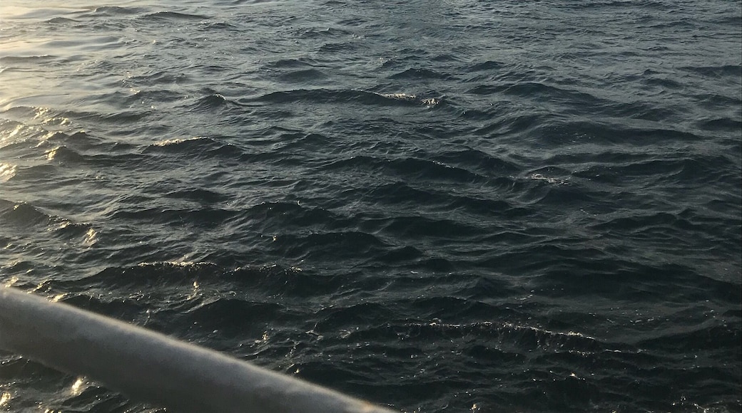 Between mountain and the sea.