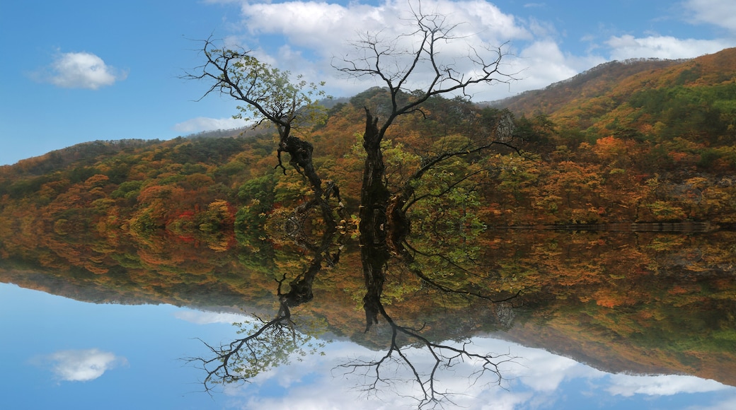 Image of autumn scenery of Jusanji Temple in Cheongsong, Korea