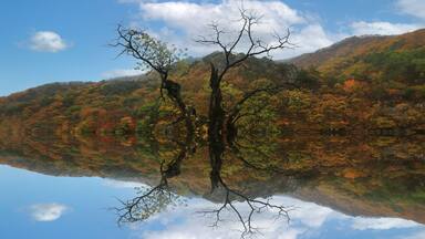 Image of autumn scenery of Jusanji Temple in Cheongsong, Korea