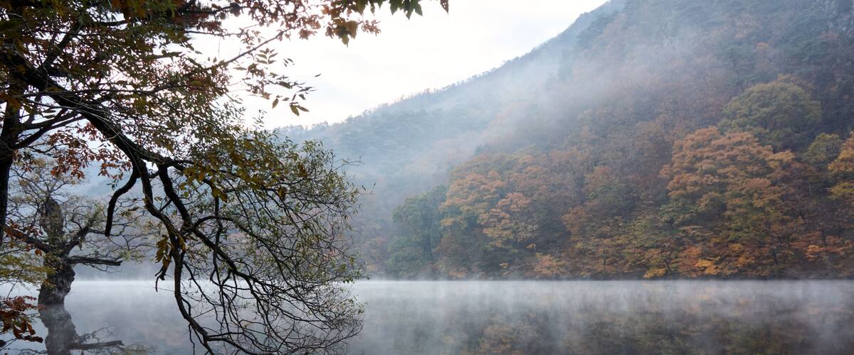 A calm lake surrounded by autumn-colored trees and misty mountains.