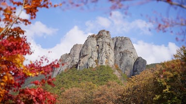 주왕산, Junwang mountain in south Korea, (Cheongsong-gun, Gyeongsangbuk-do, Republic of Korea)