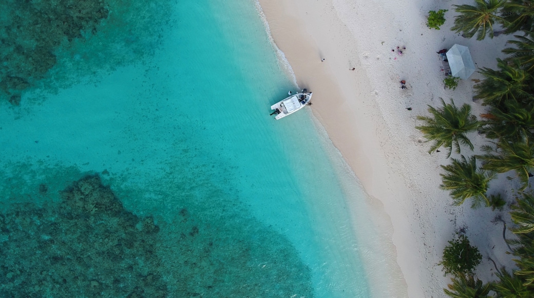 The speedboat back from Hanifaru Bay snorkeling trip