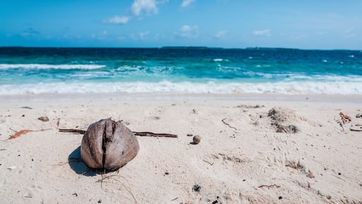 ธาราวานดู