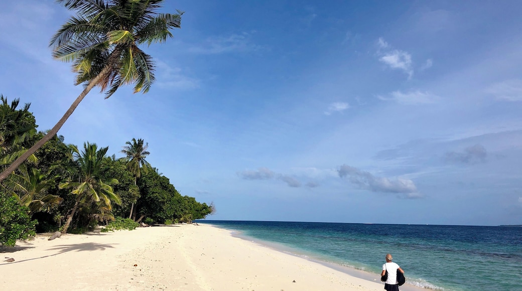 This is the usual Maldives we know, sun, White Sands and different shades of blue