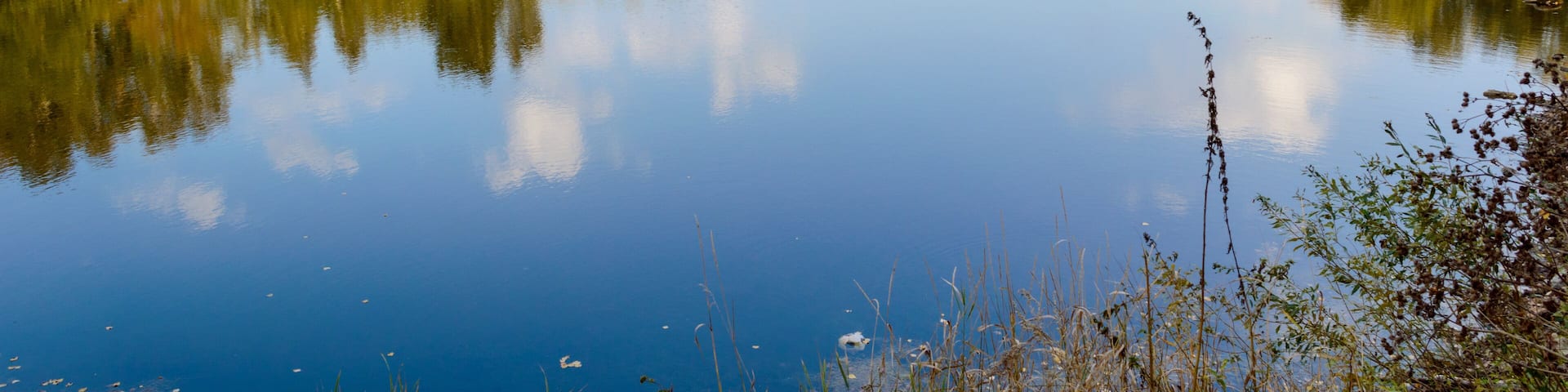 A calm river reflecting trees and a clear sky.