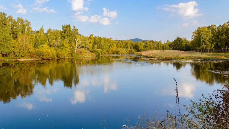 A calm river reflecting trees and a clear sky.