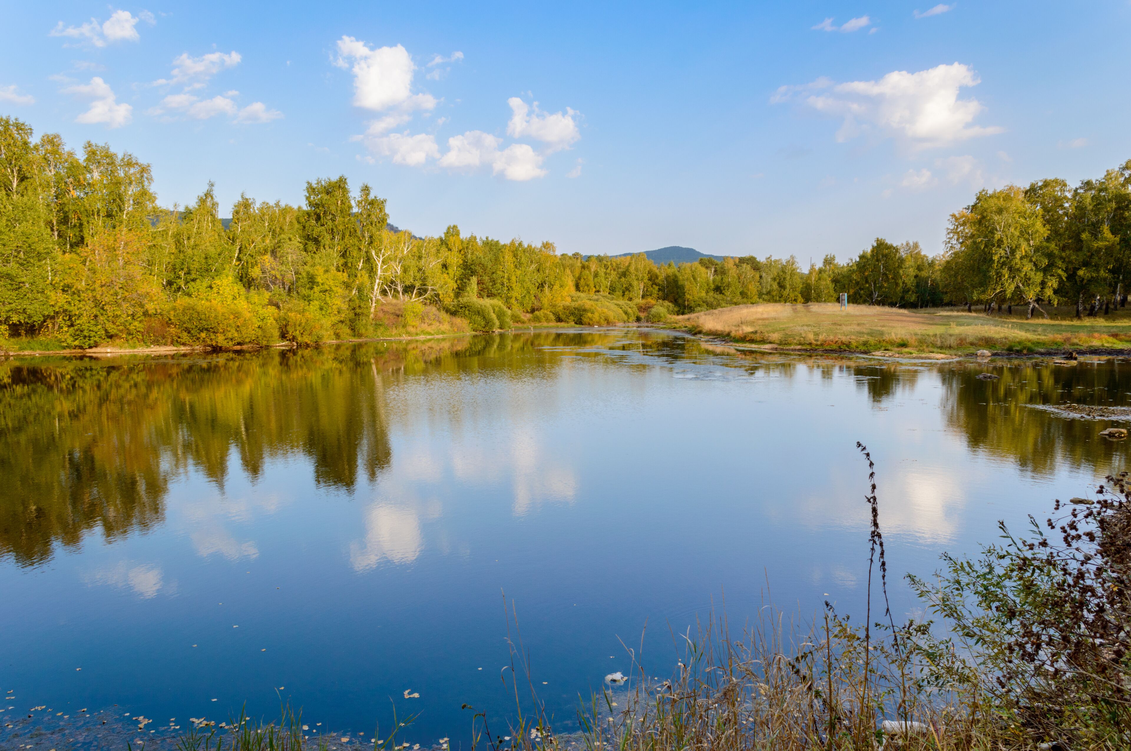 A calm river reflecting trees and a clear sky.