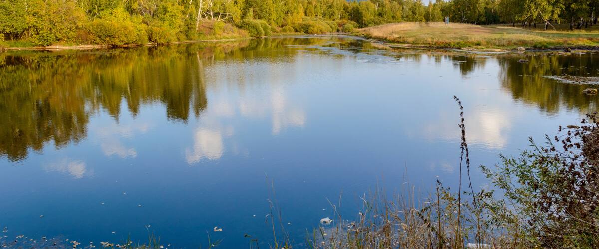A calm river reflecting trees and a clear sky.