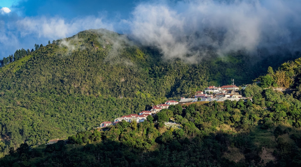 ニューカッスル