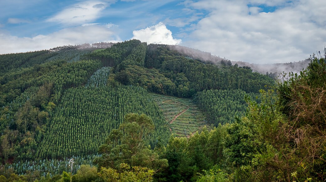 Pontenova is a parish and a Spanish town in the municipality of Puente Nuevo, in the province of Lugo, Galicia.