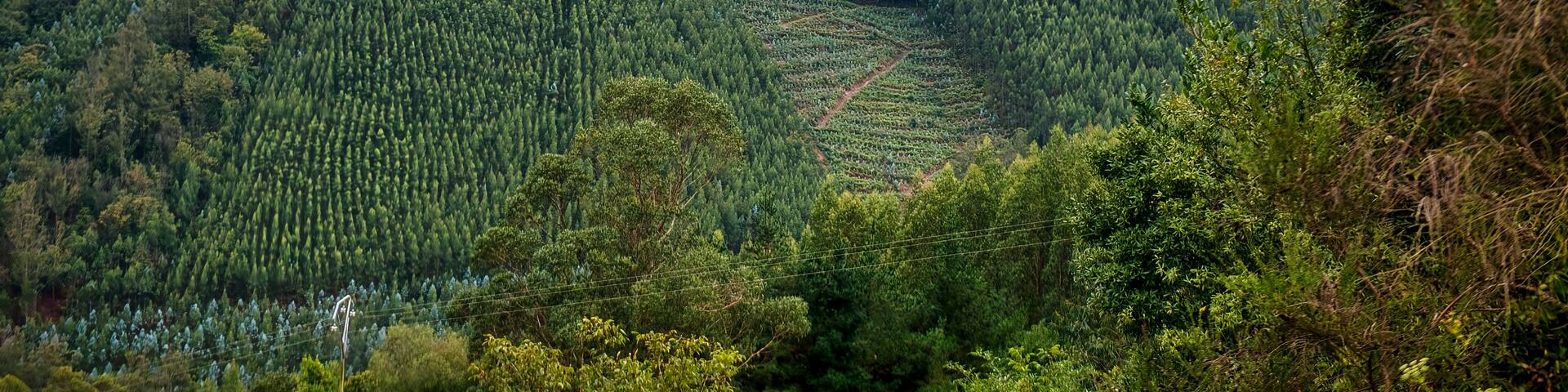 Pontenova is a parish and a Spanish town in the municipality of Puente Nuevo, in the province of Lugo, Galicia.