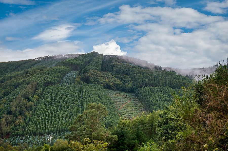 Pontenova is a parish and a Spanish town in the municipality of Puente Nuevo, in the province of Lugo, Galicia.