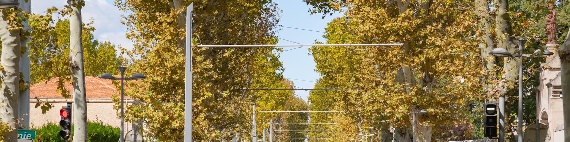 A tram track with a cyclist riding on the sidewalk, cars parked along the street, and trees with autumn leaves.