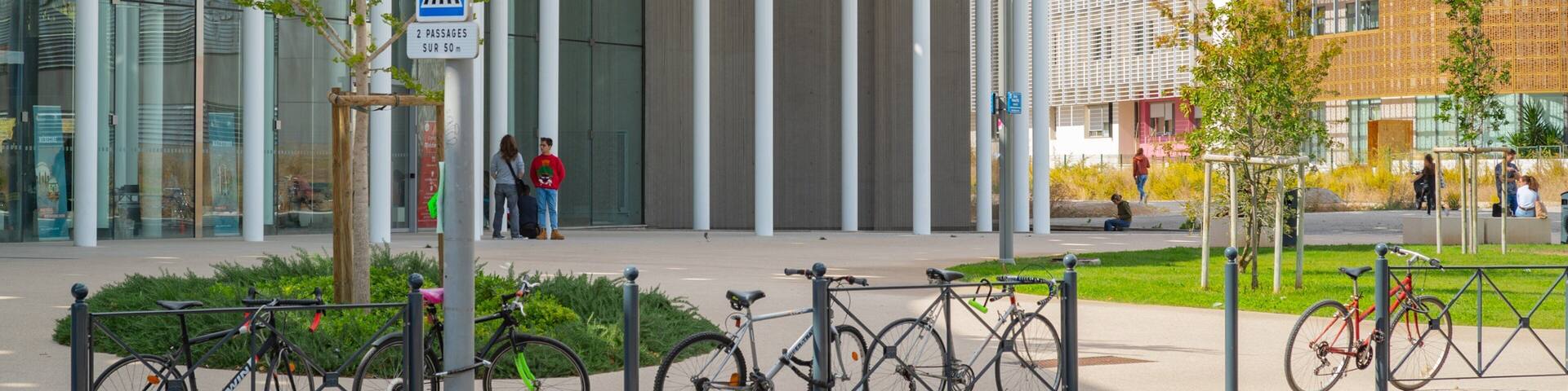 A modern building with glass facade, a pedestrian crossing sign, and bicycles parked in front.