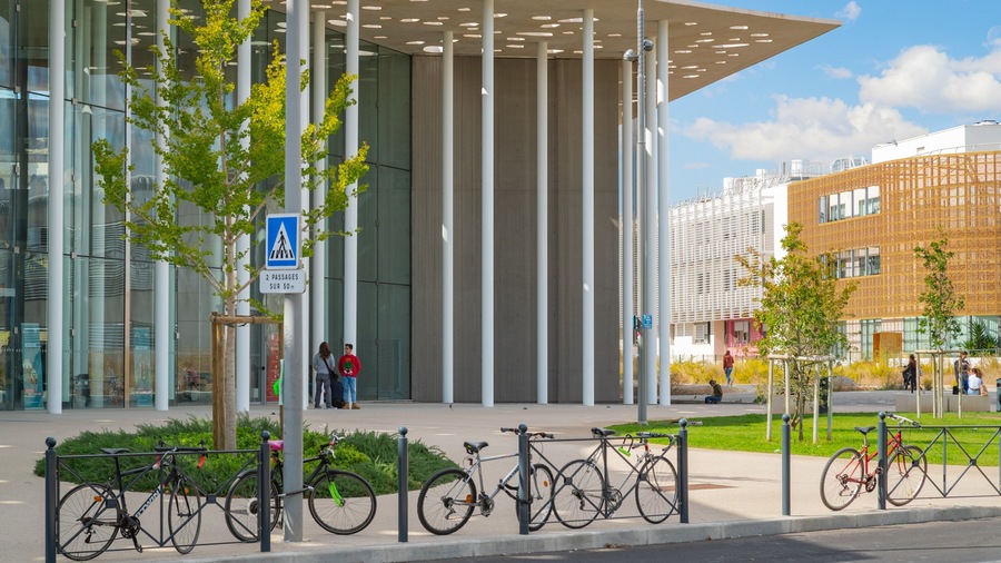 A modern building with glass facade, a pedestrian crossing sign, and bicycles parked in front.