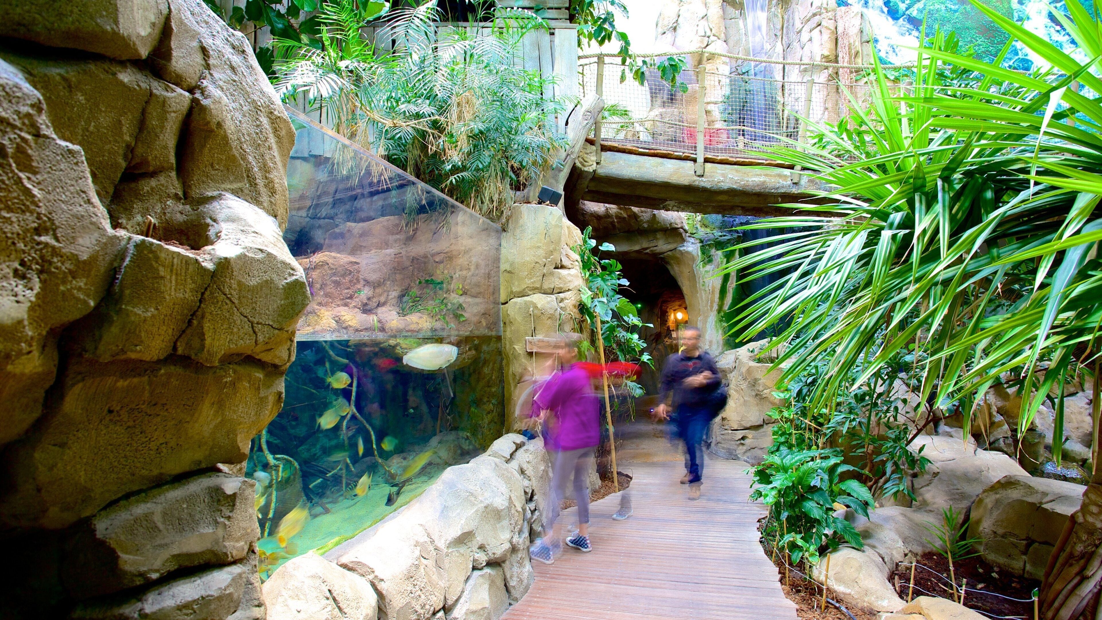 Mare Nostrum Aquarium mostrando vistas interiores y vida marina