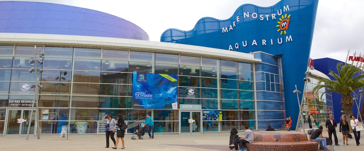 Mare Nostrum Aquarium joka esittää katunäkymät ja merielämä sekä suuri ryhmä ihmisiä