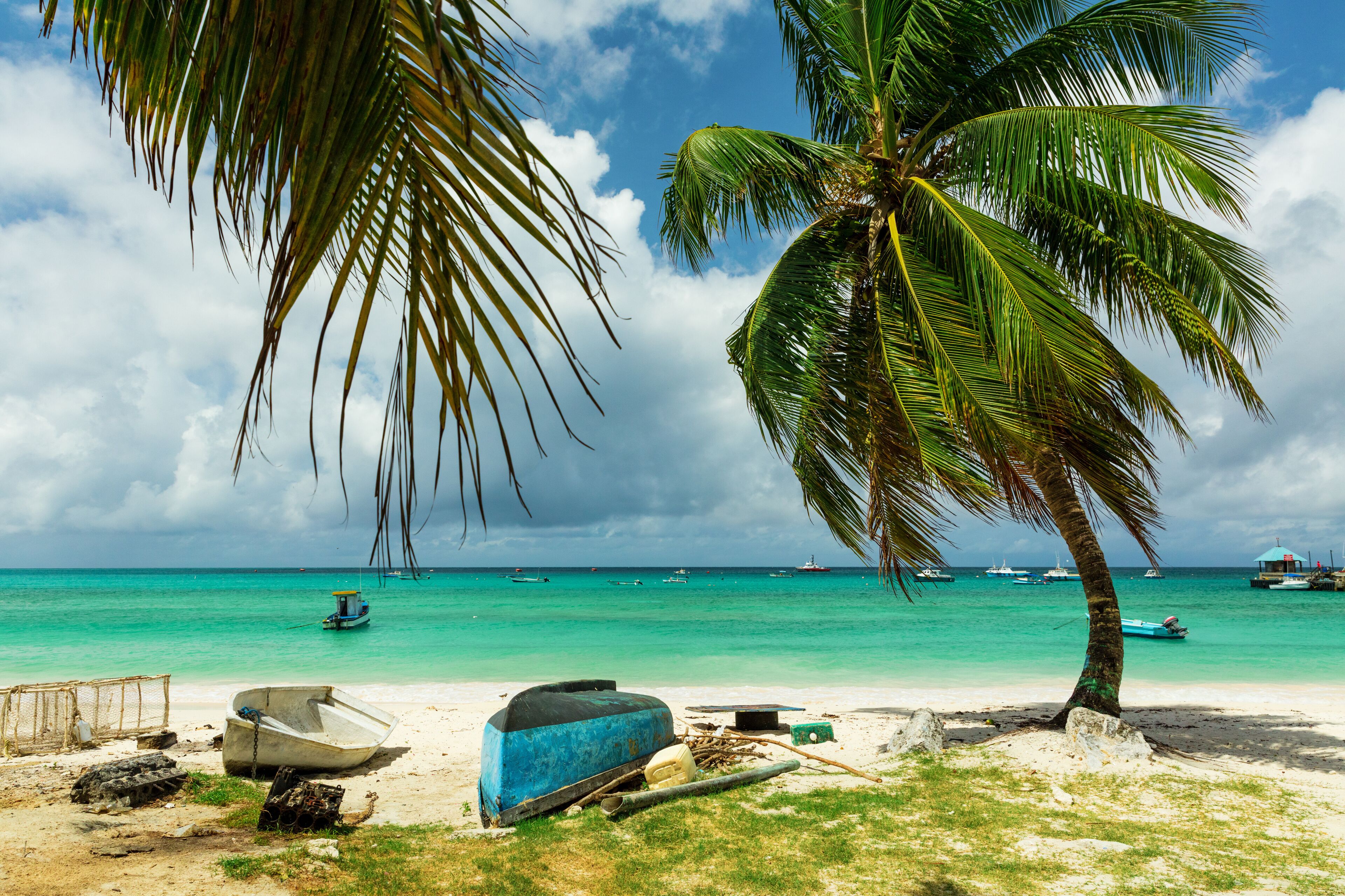 A beach with a palm tree, boats, and a clear blue sky.