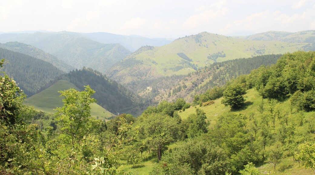 Mountain Zlatibor and its surroundings are a pearl in the tourism of Serbia. Must visit waterfalls, caves and ethno villages to try local specialties.