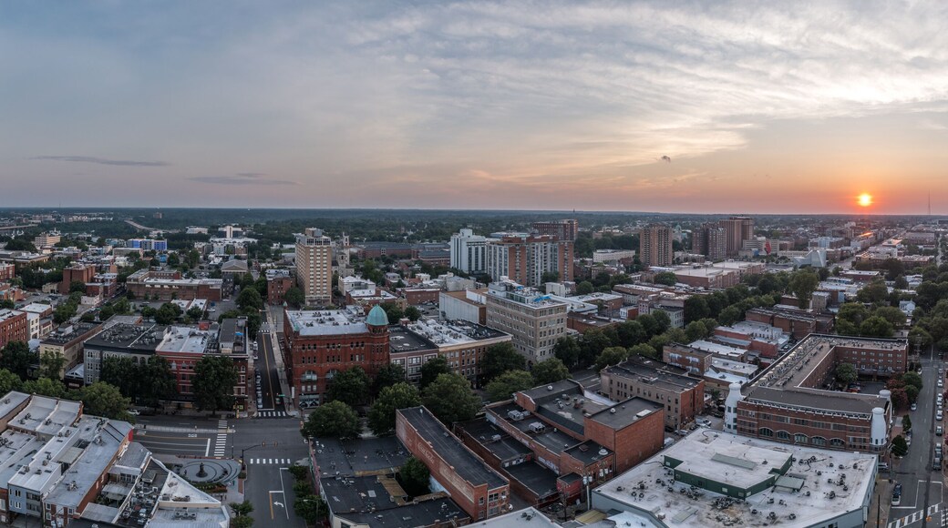 ํ ๋์คํธ๋ฆฟ