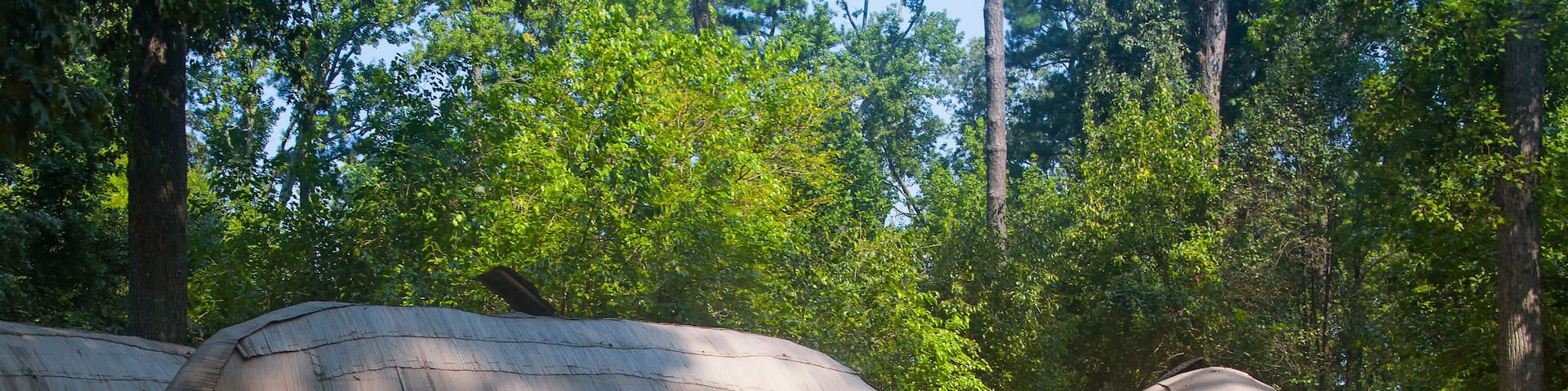 Powhatan huts jamestown settlement williamsburg virginia