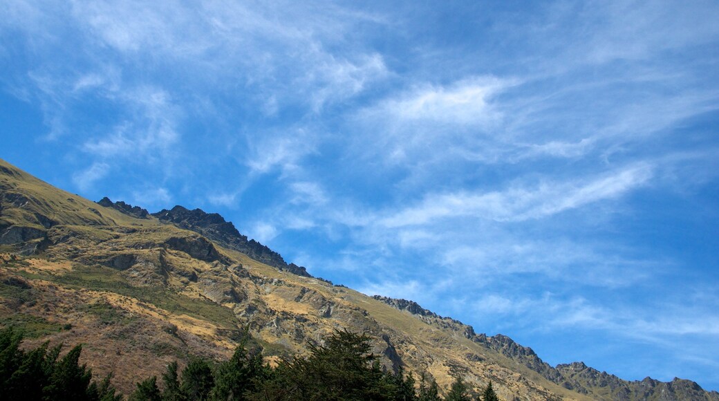 Walter Peak showing mountains