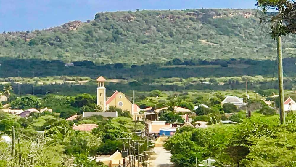 Entering the very old town of Rincon in the inland valley of Bonaire 🇧🇶. Established in the 16th century by the Spanish. Home of The Cadushy Distillery where you can sample cactus🌵juice!
#Perspectives #Rincon #Bonaire #NetherlandAntilles