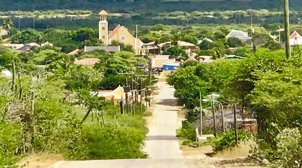 Entering the very old town of Rincon in the inland valley of Bonaire 🇧🇶. Established in the 16th century by the Spanish. Home of The Cadushy Distillery where you can sample cactus🌵juice!
#Perspectives #Rincon #Bonaire #NetherlandAntilles